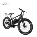 TOP New Style Bafang 750W Mid Drive Motor Fat Tire Schnee Elektrofahrrad 2017